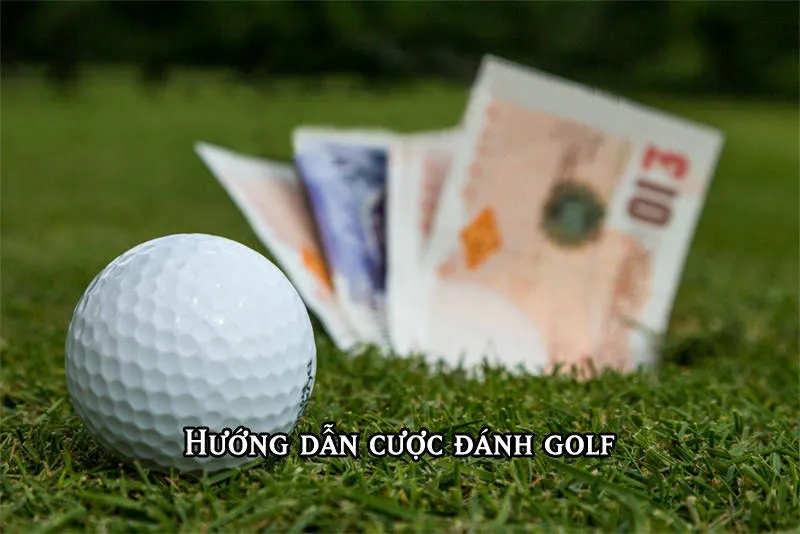 Cá cược Golf đối kháng
